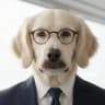 Judah Mannowdog