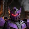 Tarn