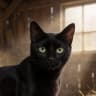 Scourge
