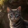 Cinderpelt